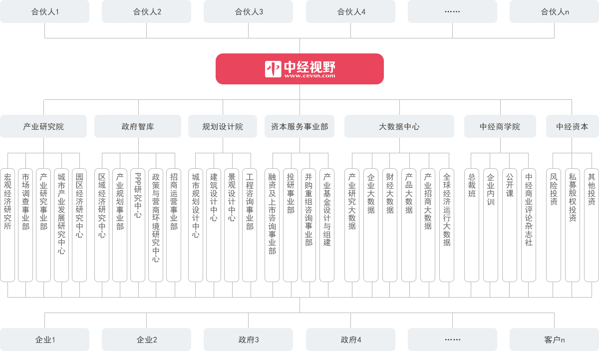 中经视野组织与架构